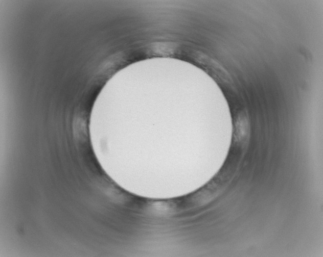 X0000114400522200911271519