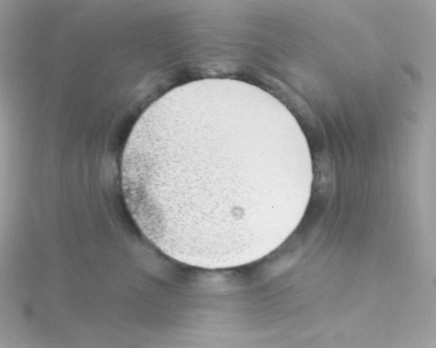 X0000114400523200911271519