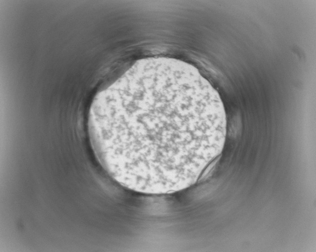 X0000114400524200911271519