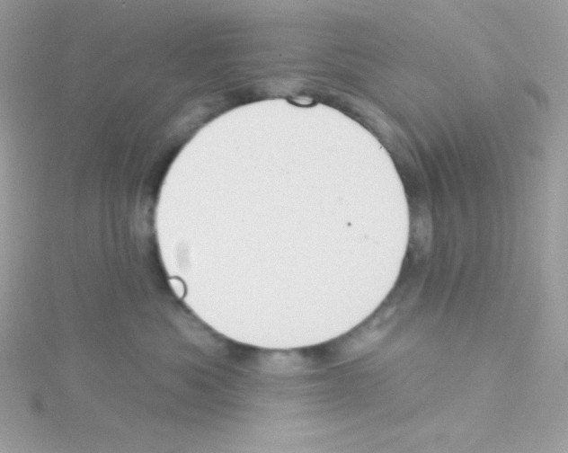 X0000114400525200911271519