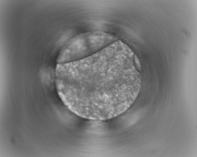 X0000114400528200911271519