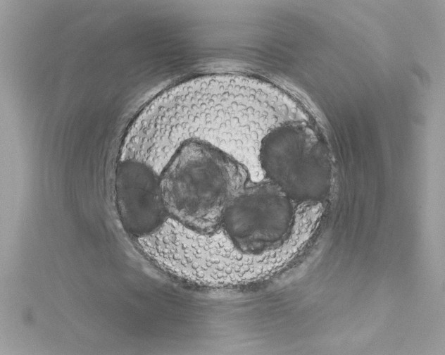 X0000114400529200911271519