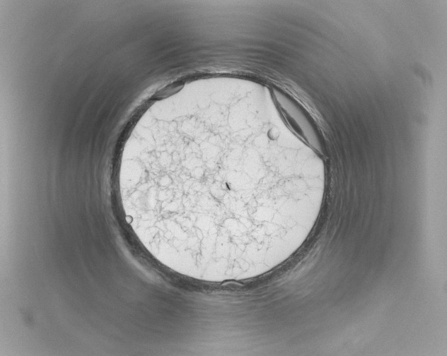 X0000114400530200911271519