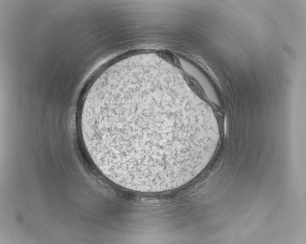 X0000114400531200911271519