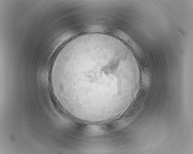 X0000114400534200911271519