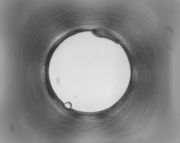 X0000114400535200911271519