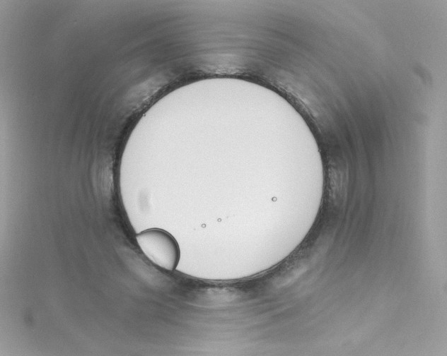 X0000114400541200911271519