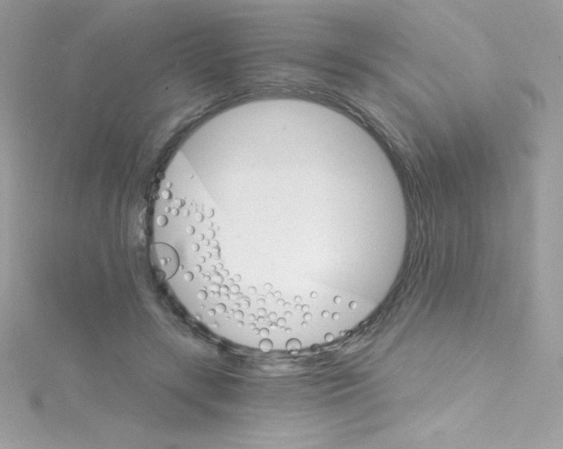 X0000114400547200911271519