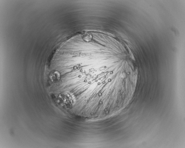 X0000114400550200911271519