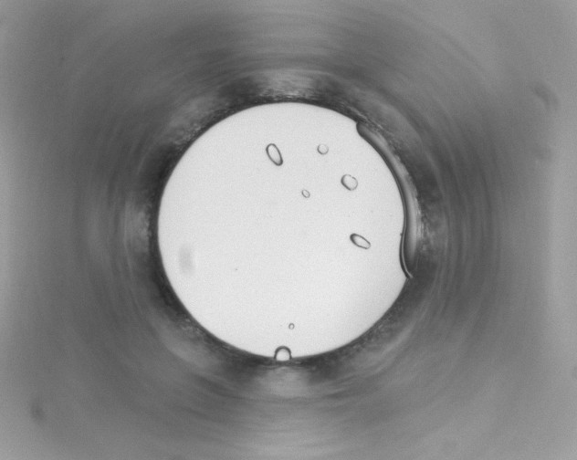 X0000114400551200911271519