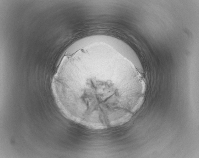 X0000114400553200911271519