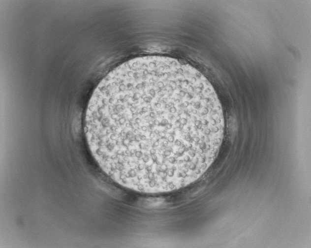 X0000114400554200911271519