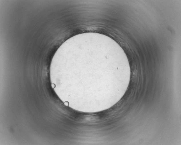 X0000114400555200911271519