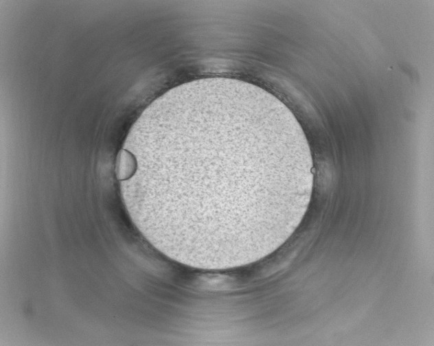 X0000114400557200911271519