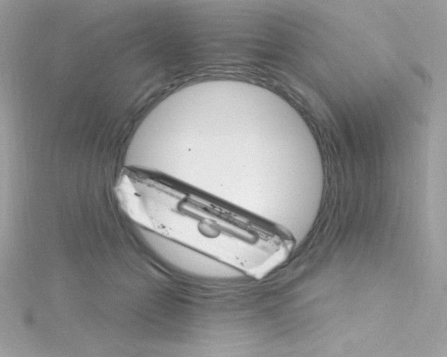 X0000114400558200911271519