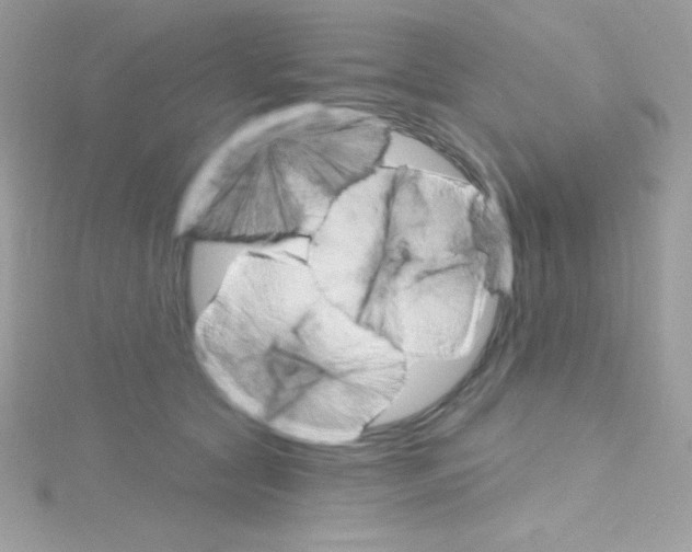 X0000114400561200911271519