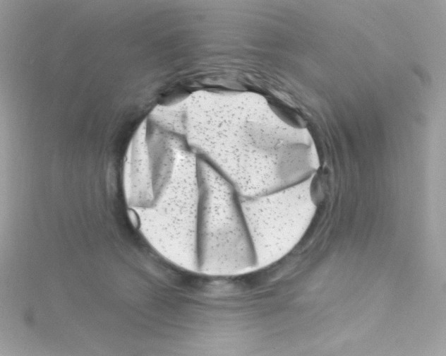 X0000114400562200911271519