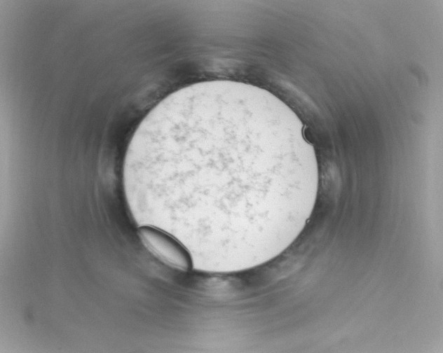 X0000114400566200911271519