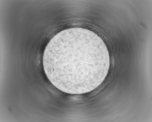 X0000114400567200911271519