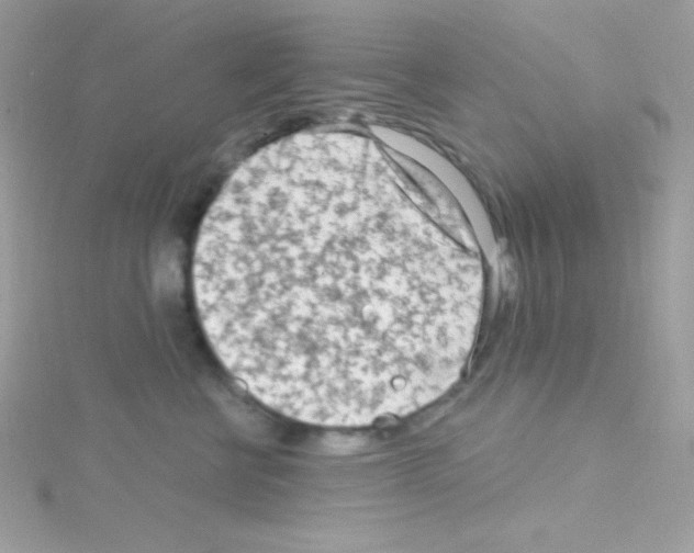 X0000114400570200911271519