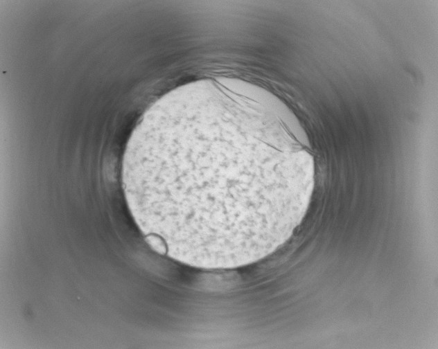 X0000114400571200911271519