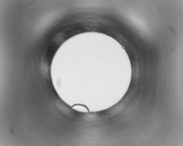 X0000114400574200911271519