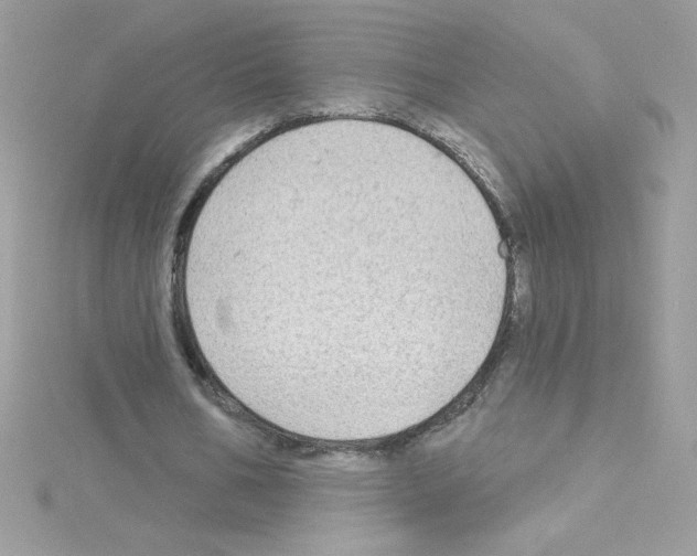 X0000114400578200911271519