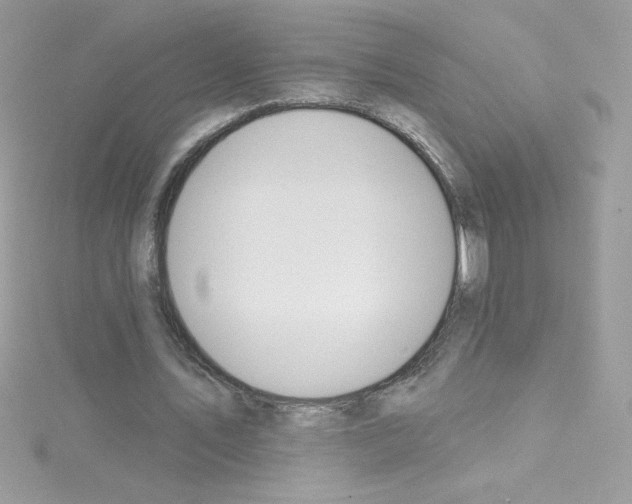 X0000114400579200911271519