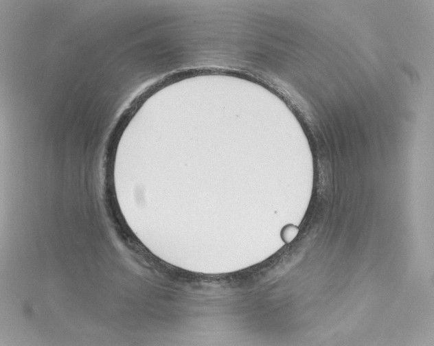 X0000114400580200911271519