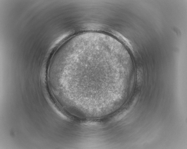 X0000114400581200911271519