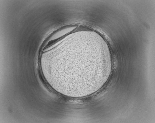 X0000114400582200911271519