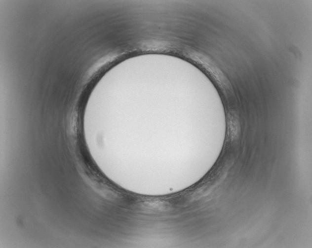 X0000114400583200911271518