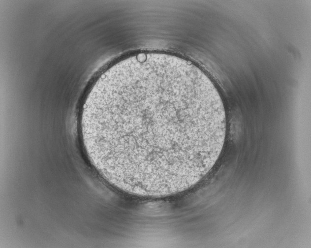 X0000114400584200911271518