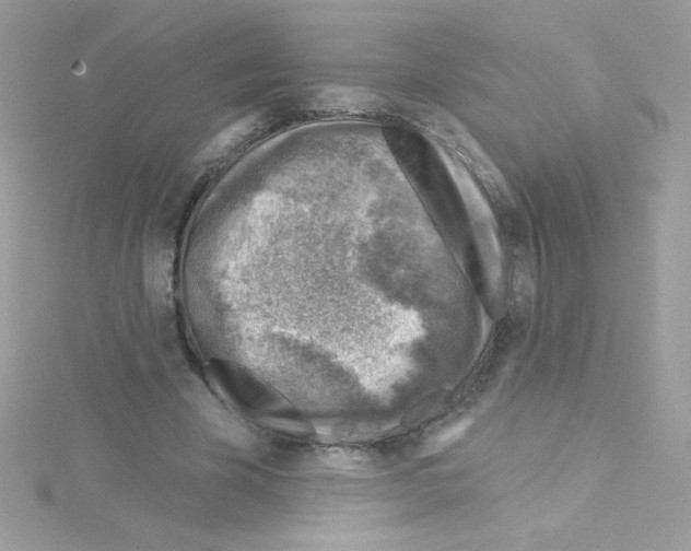 X0000114400585200911271518