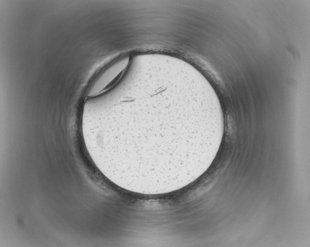 X0000114400588200911271518