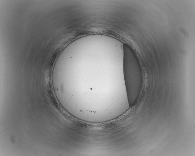 X0000114400593200911271518