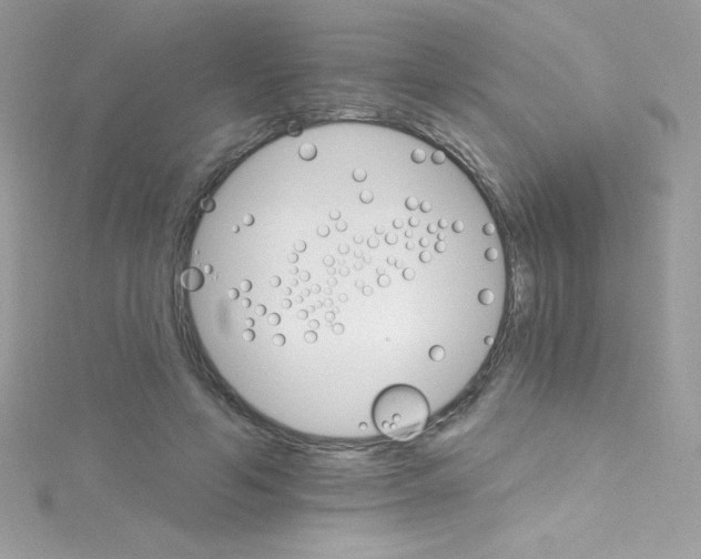 X0000114400594200911271518