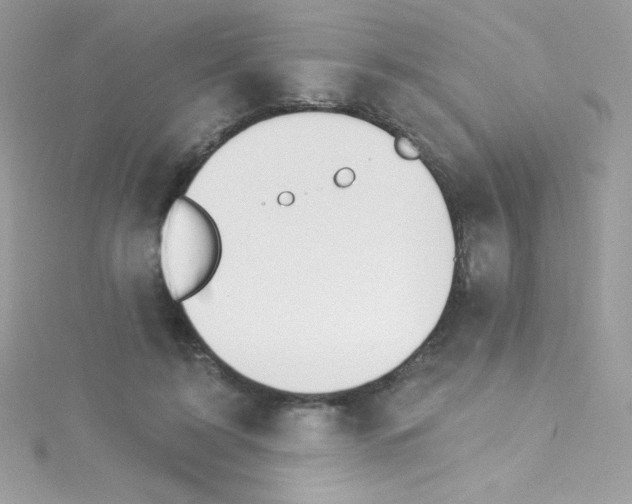 X0000114400595200911271518