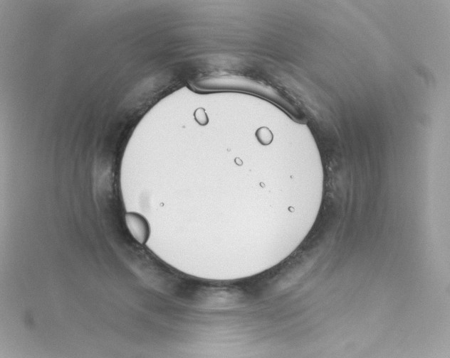 X0000114400597200911271518