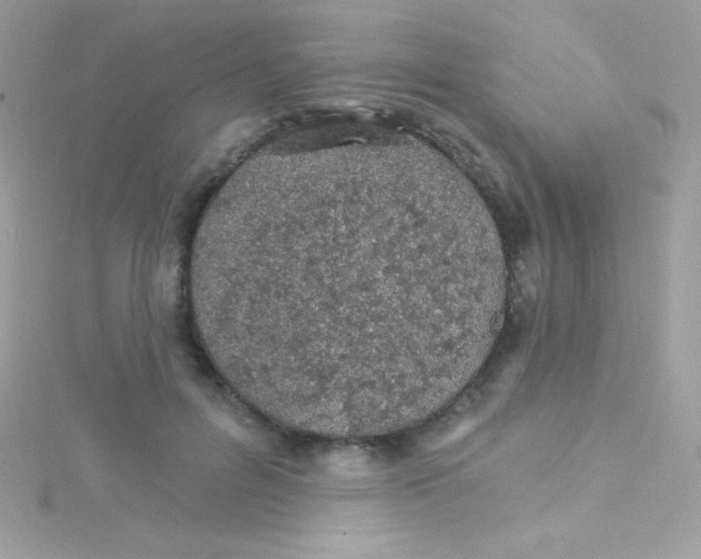 X0000114400600200911271518