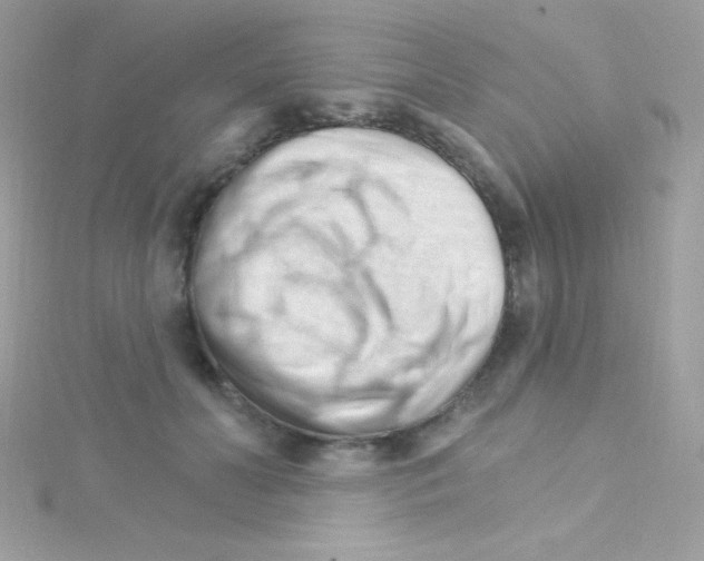 X0000114400606200911271518