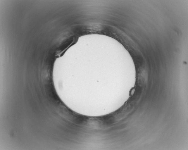 X0000114400608200911271518