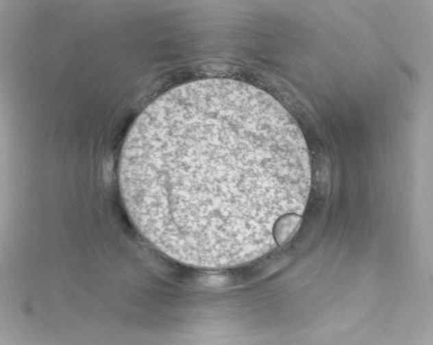 X0000114400610200911271518