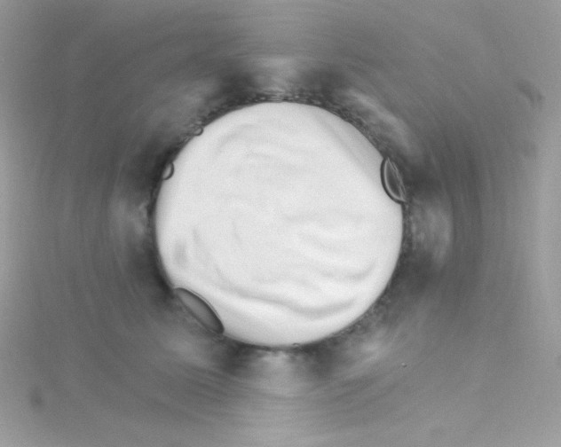 X0000114400611200911271518