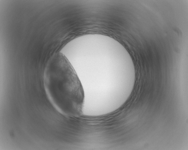 X0000114400615200911271518