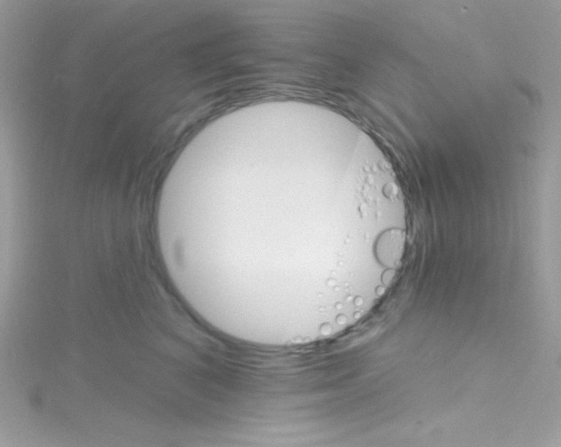 X0000114400616200911271518