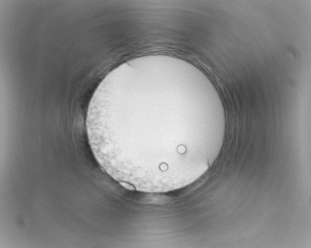 X0000114400617200911271518