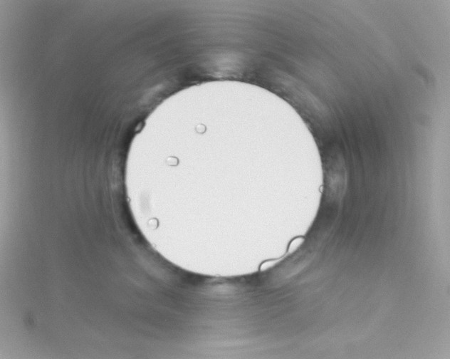 X0000114400620200911271518