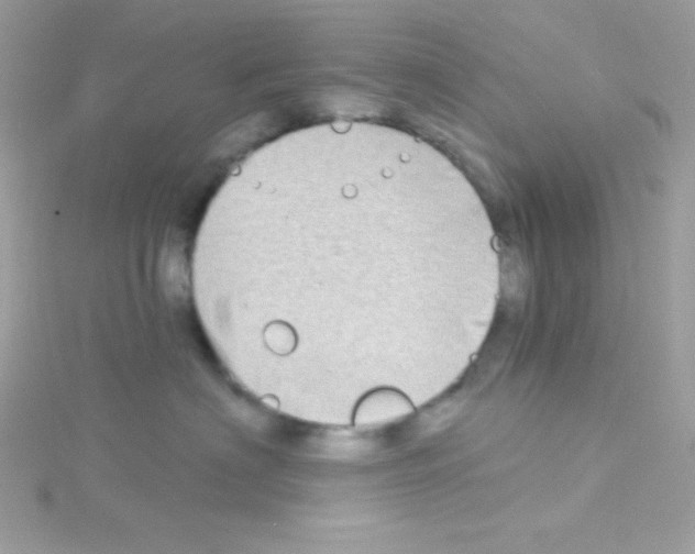 X0000114400622200911271518