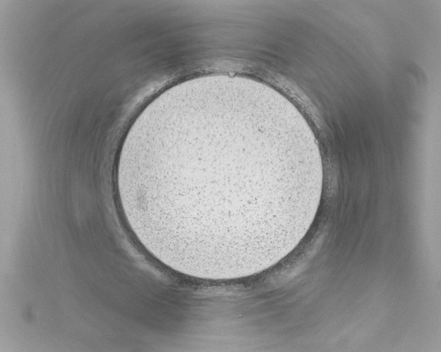 X0000114400625200911271517